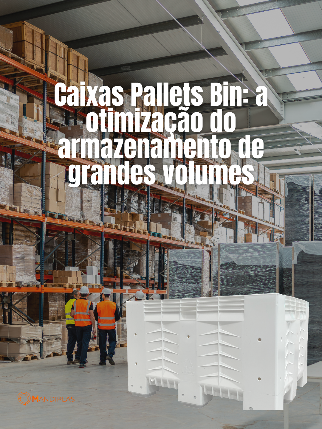Caixas Pallets Bin